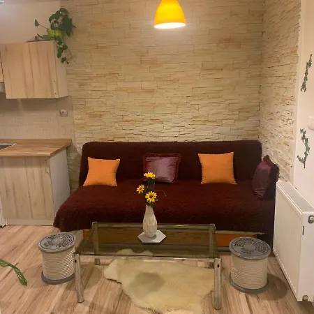 Slunecnice S Terasou * Ceske Budejovice