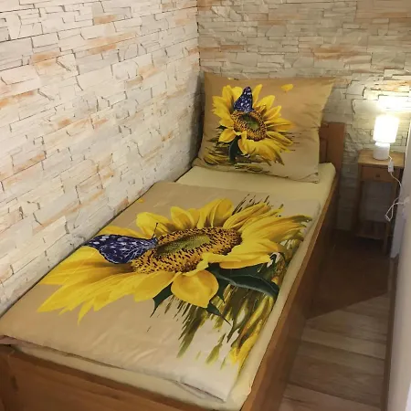 Slunecnice S Terasou * Ceske Budejovice