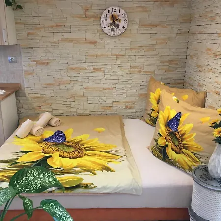 Slunecnice S Terasou * Ceske Budejovice