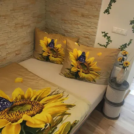 Slunecnice S Terasou * Ceske Budejovice