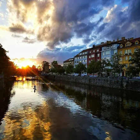 Slunecnice S Terasou * Ceske Budejovice