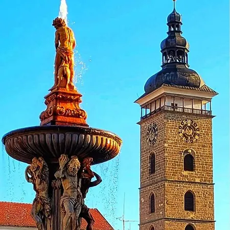 Slunecnice S Terasou Lejlighed *