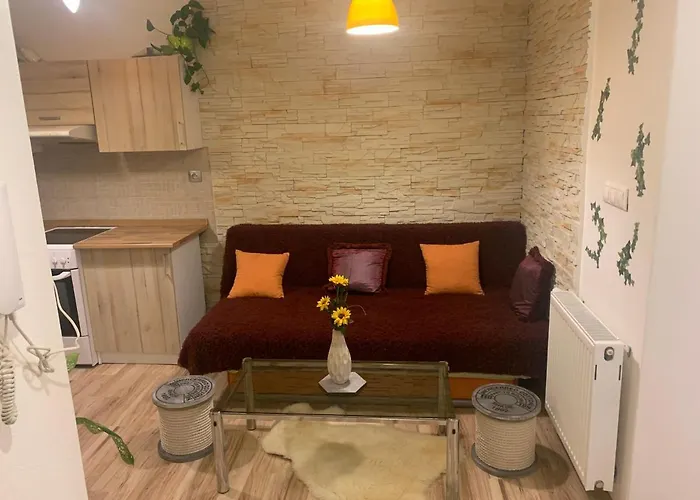 Slunecnice S Terasou * Ceske Budejovice