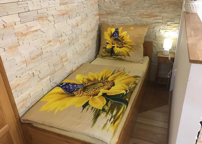 Slunecnice S Terasou * Ceske Budejovice