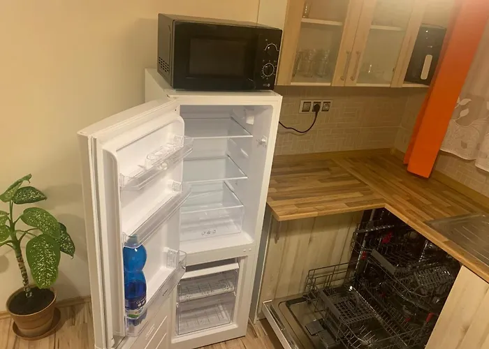 Slunecnice S Terasou Appartement