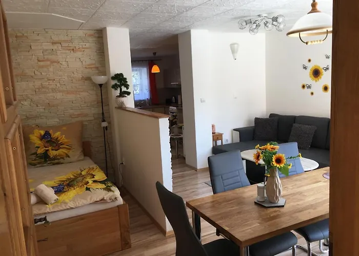 Slunecnice S Terasou * Ceske Budejovice