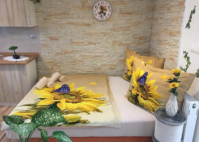 Slunecnice S Terasou * Ceske Budejovice