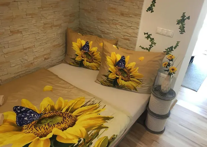 Slunecnice S Terasou * 체스케부데요비체